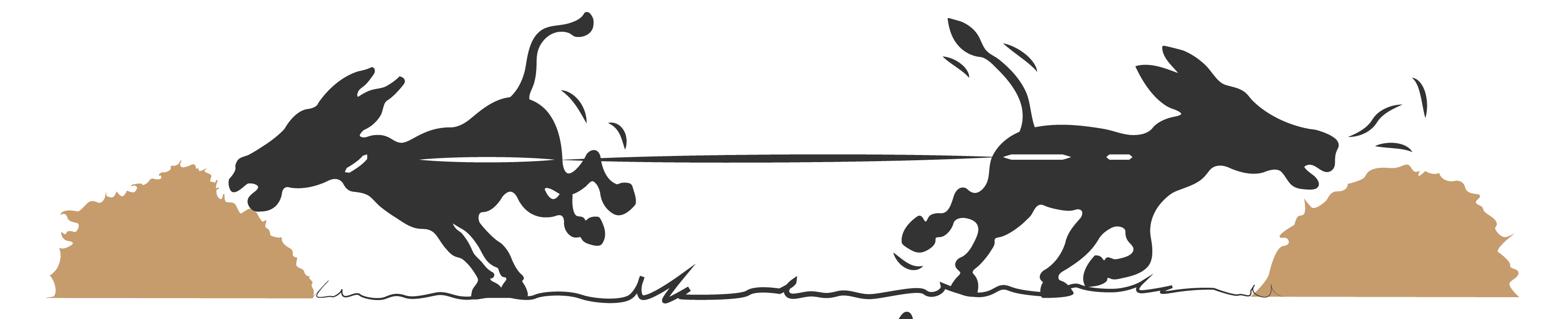Kommunikation zwischen Eseln – Schritt 3 Kommunikation zwischen Eseln - Schritt 3